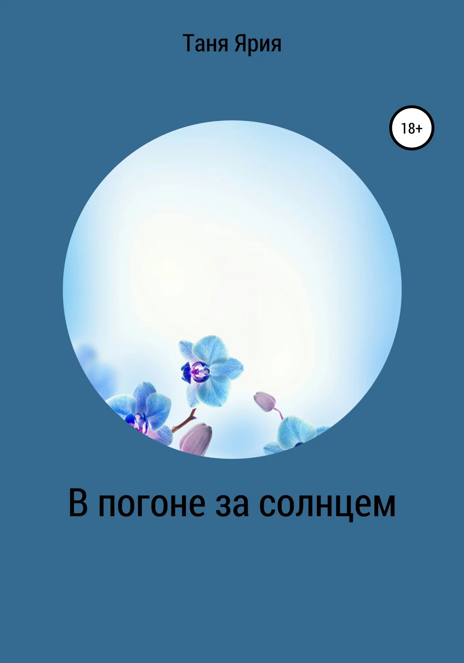 Обложка В погоне за солнцем