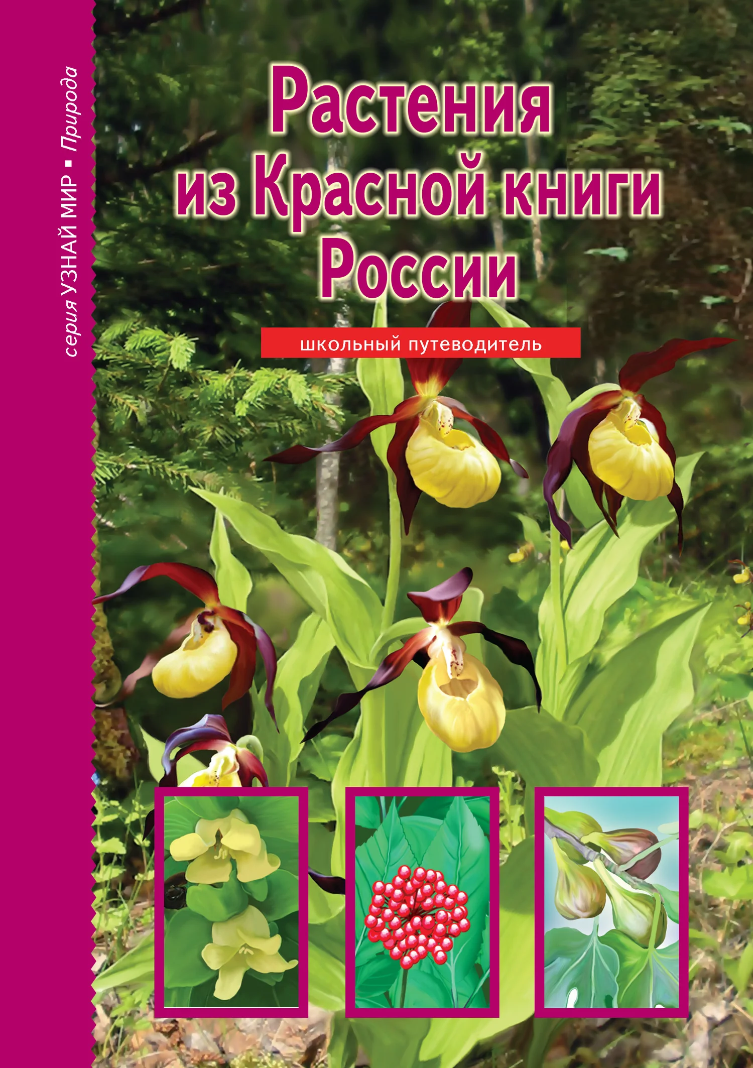 Обложка Растения из Красной книги России