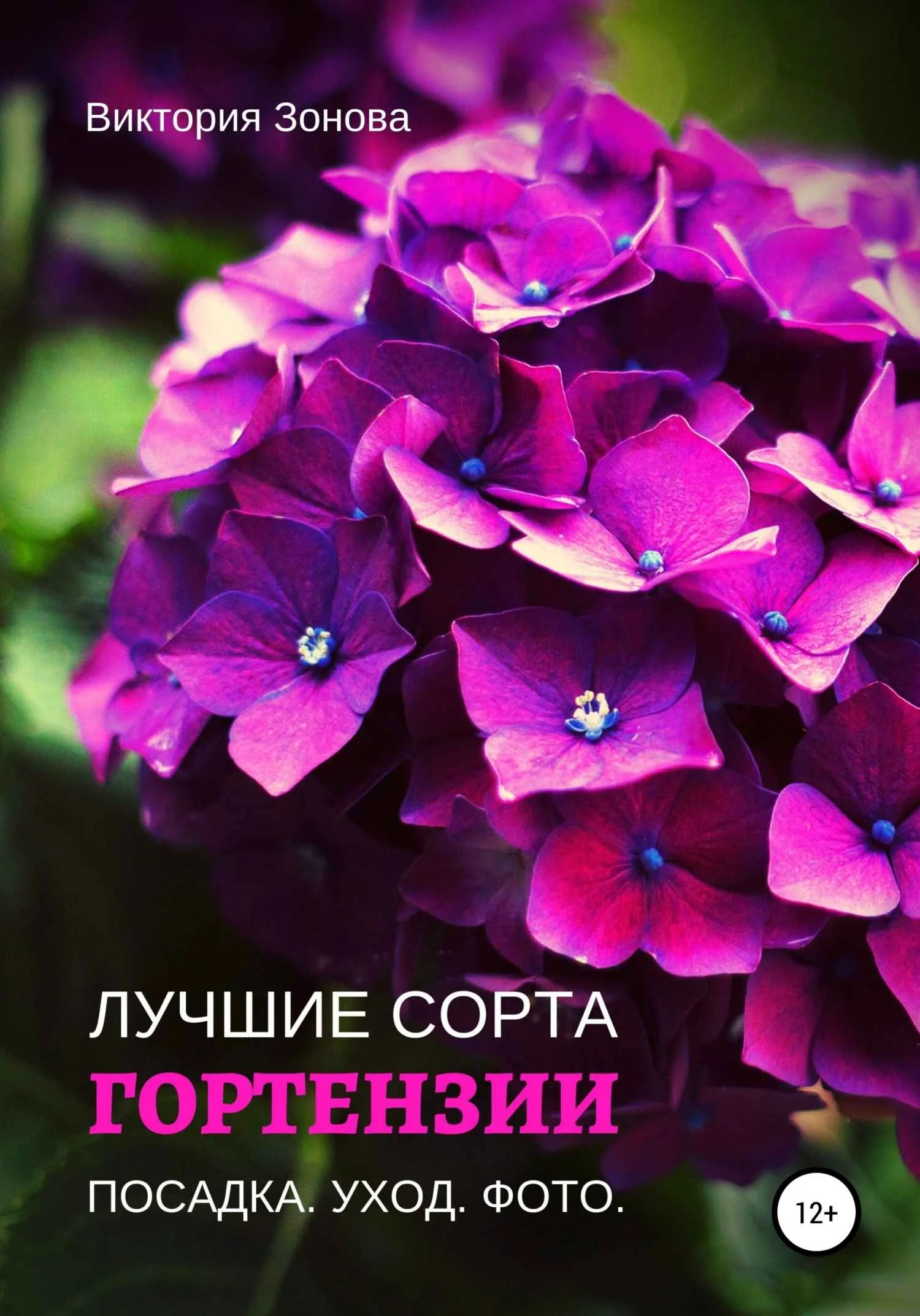 Обложка Гортензии. Лучшие сорта