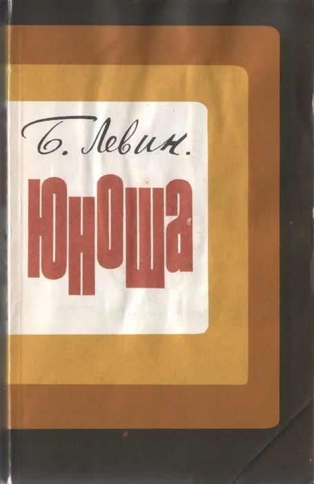 Обложка Юноша