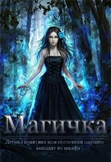 Обложка Летняя практика (СИ)