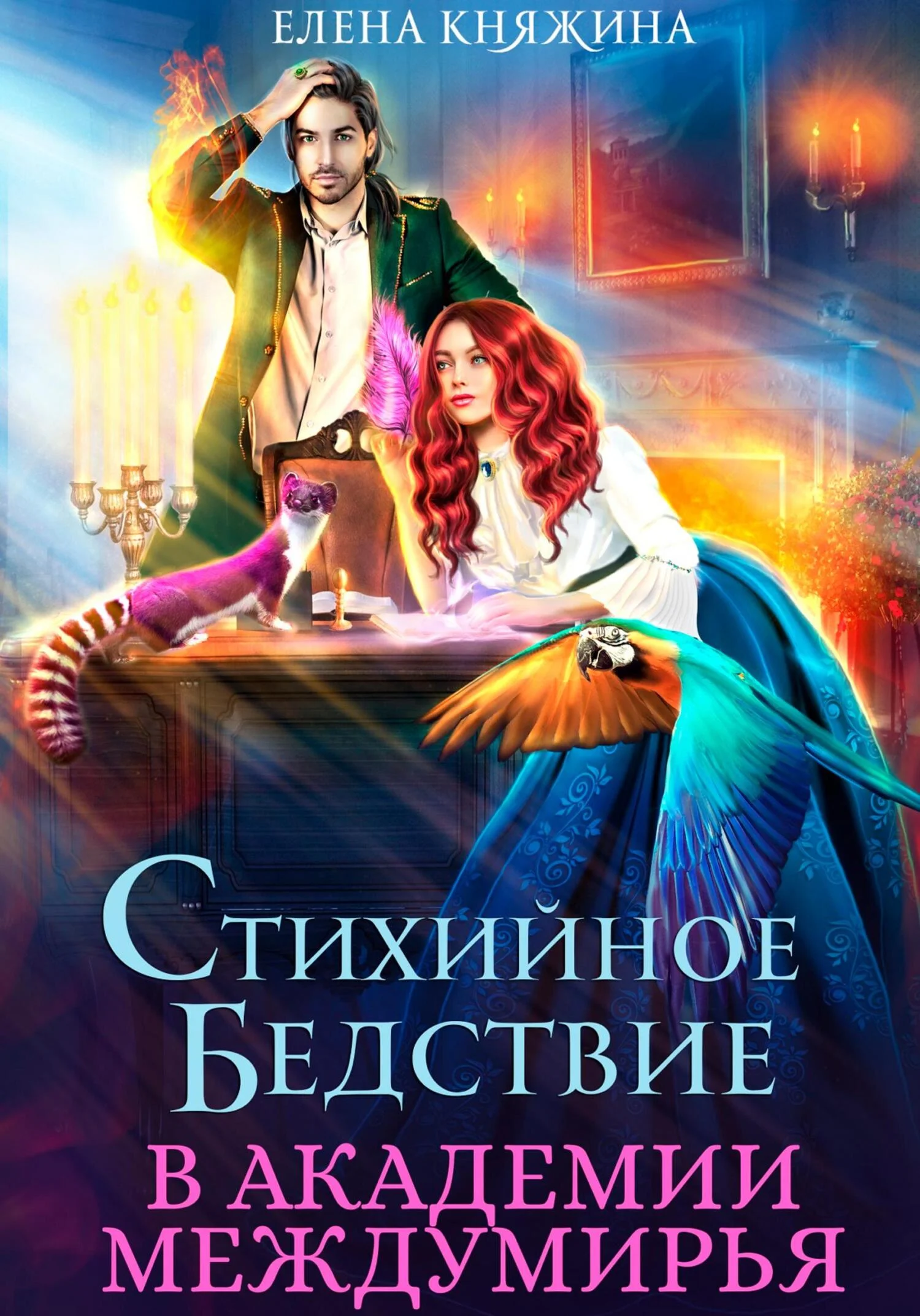 Обложка Стихийное бедствие в Академии Междумирья