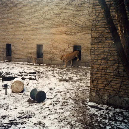 Обложка Что-то вроде счастья