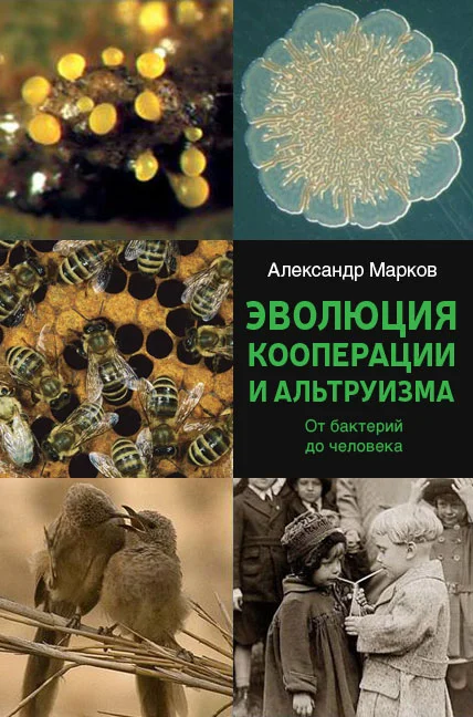 Обложка Эволюция кооперации и альтруизма