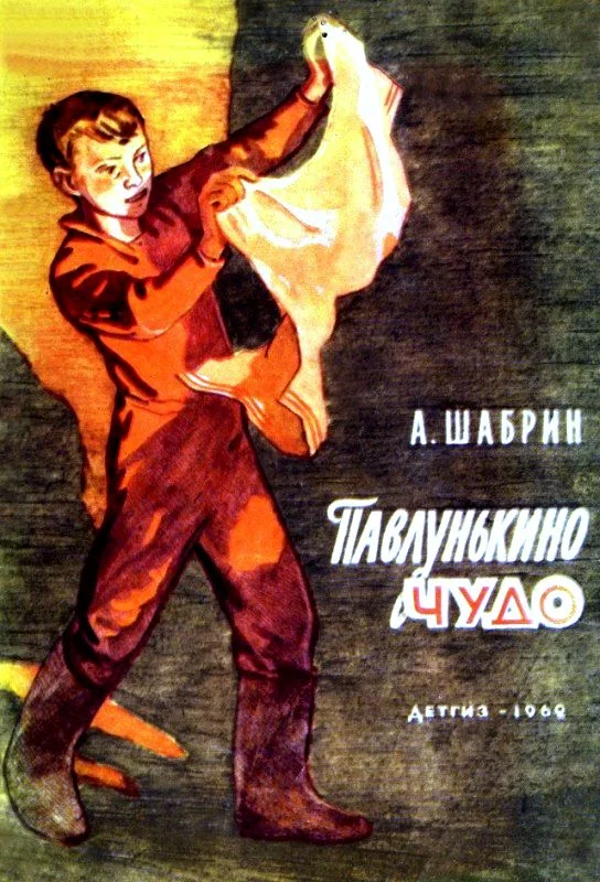 Обложка Павлунькино чудо