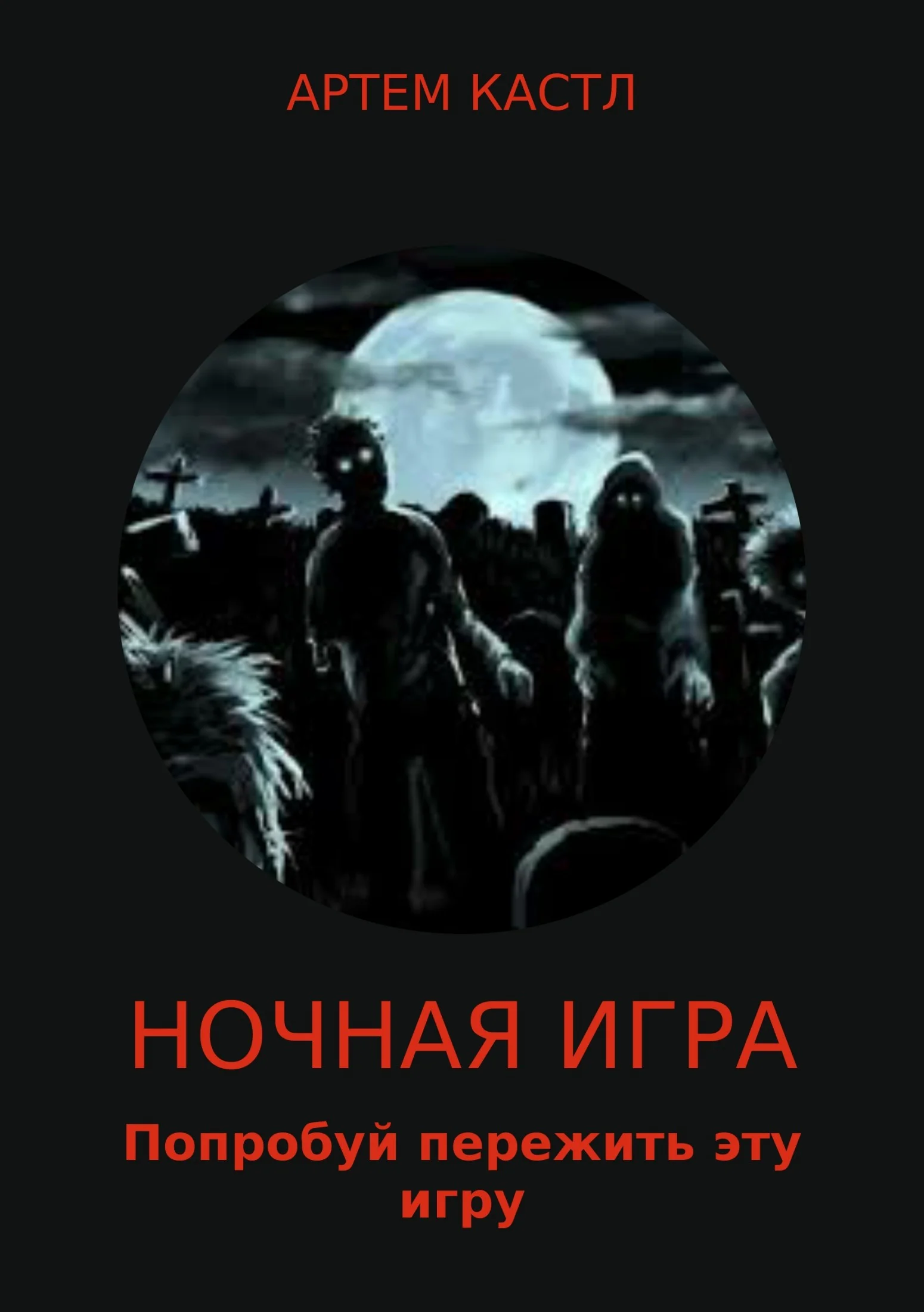 Обложка Ночная игра