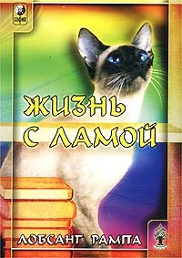 Обложка Жизнь с ламой