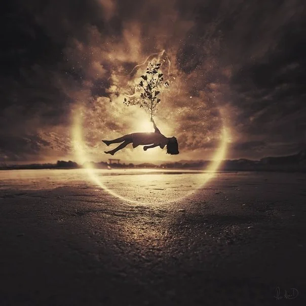 Обложка Какого хрена... (СИ)