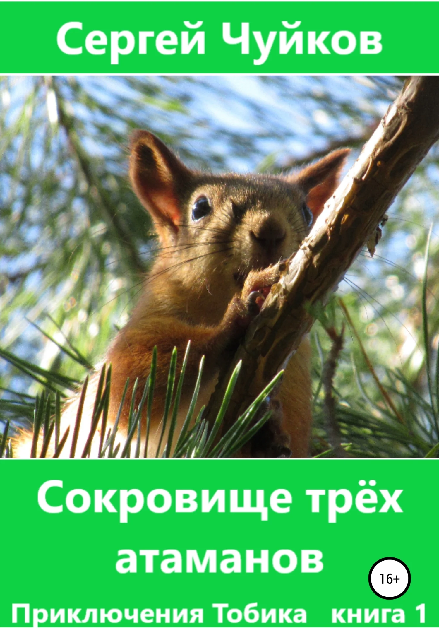 Обложка Сокровище трёх атаманов