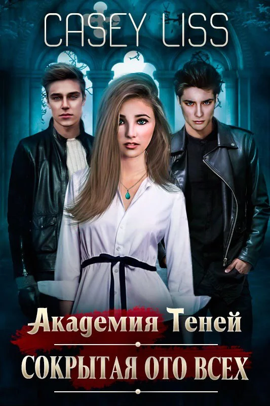 Обложка Академия Теней. Сокрытая ото всех