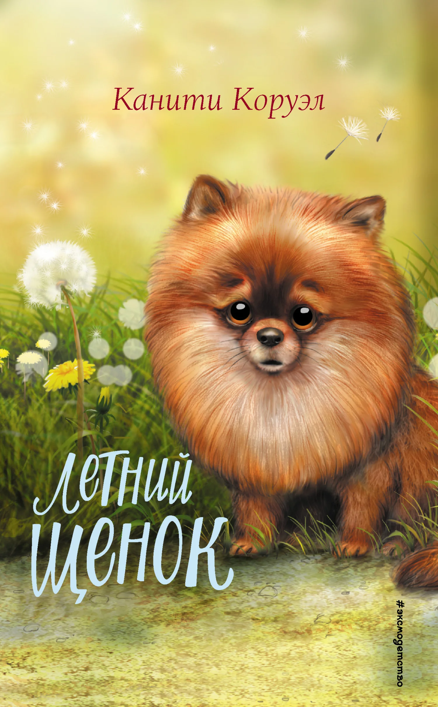 Обложка Летний щенок