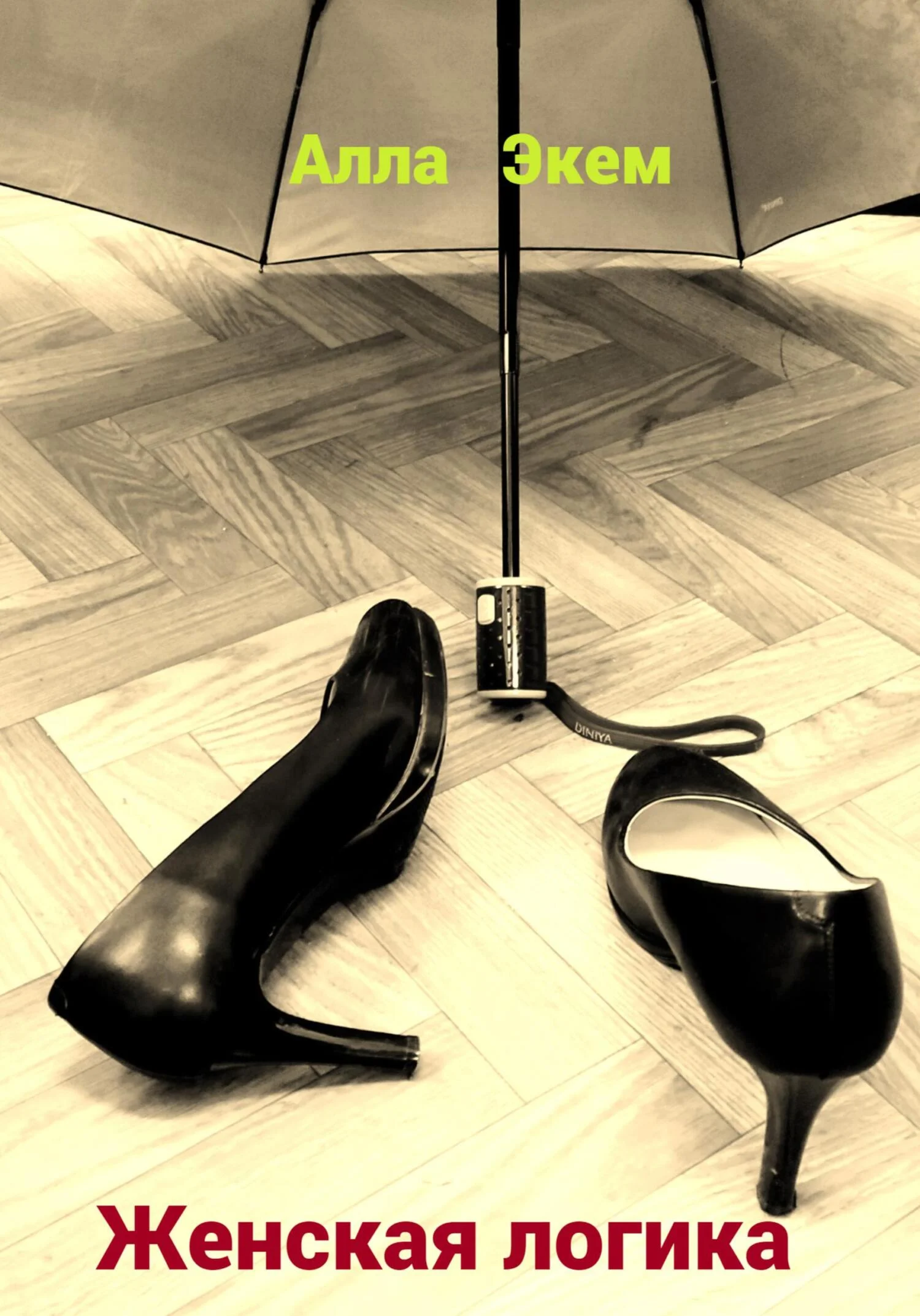 Обложка Женская логика