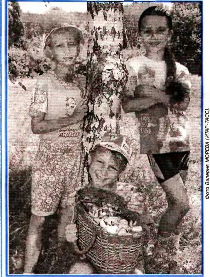 Обложка Газета ЗОЖ N13, 2008