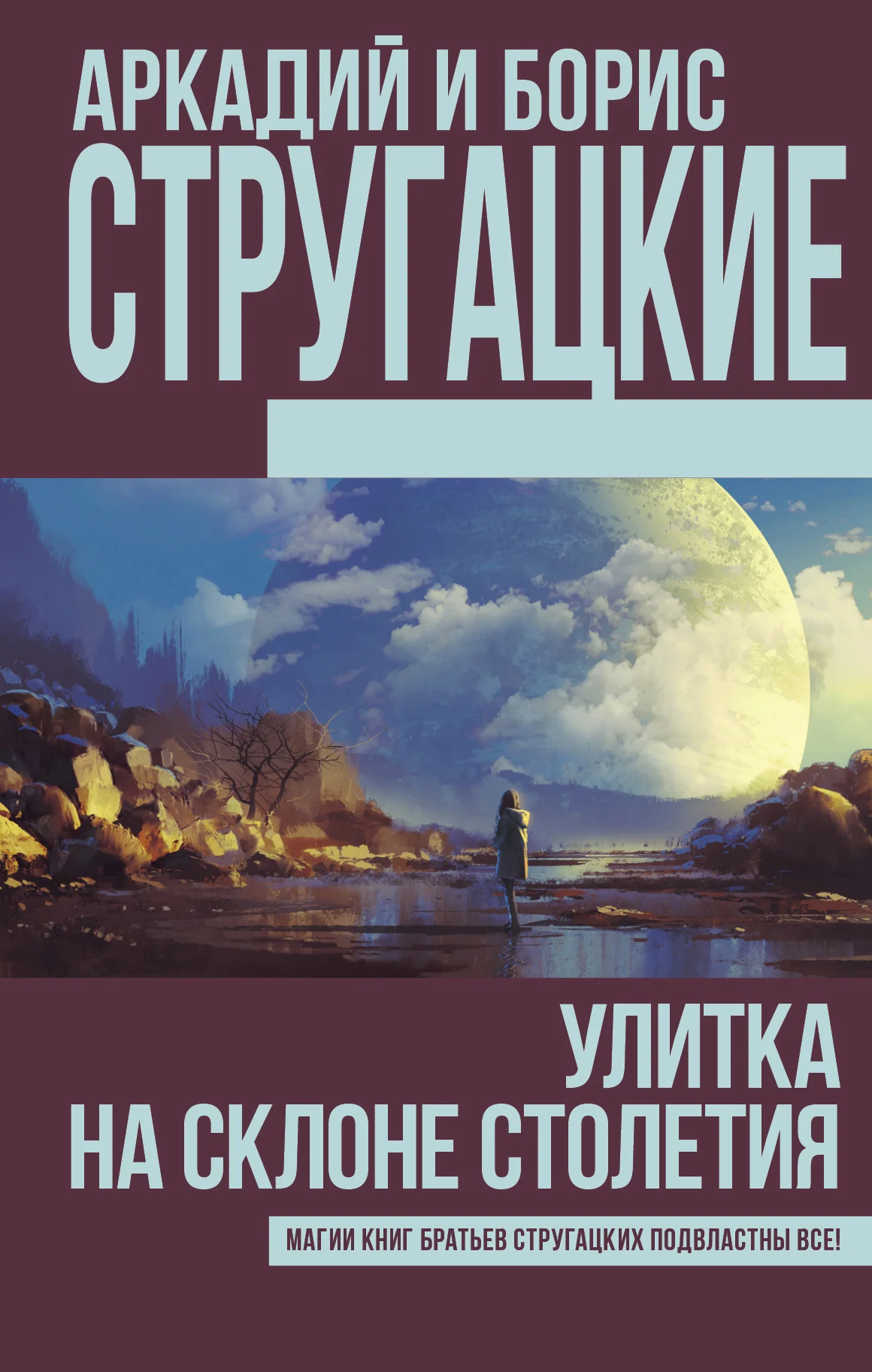 Обложка Улитка на склоне столетия