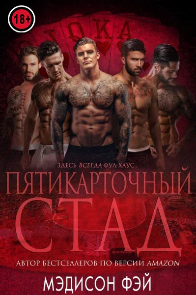Обложка Пятикарточный стад