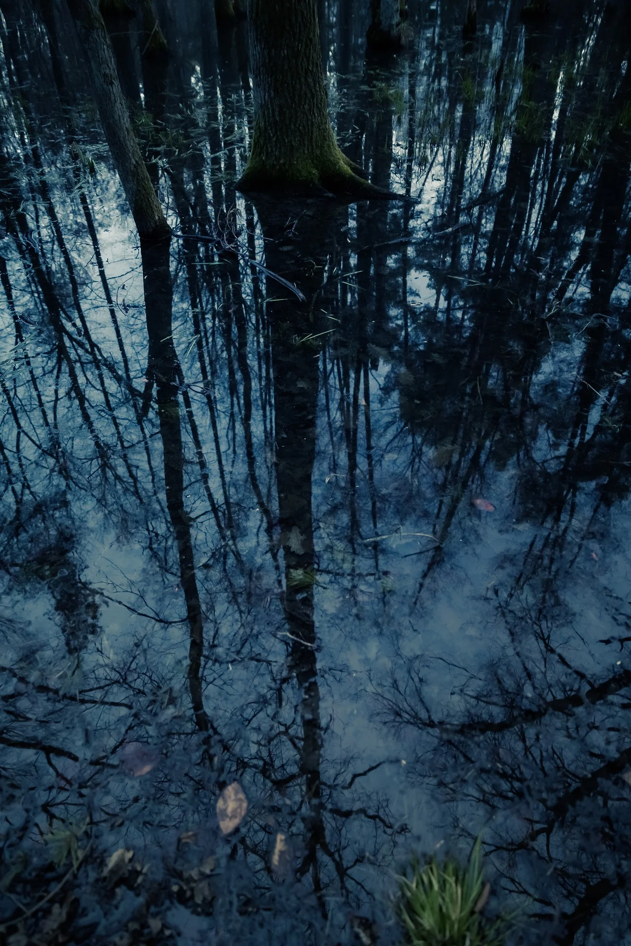 Обложка Северная Ведьма