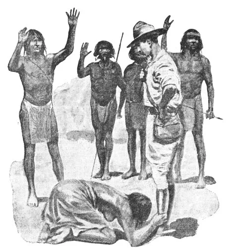 Обложка Миска бульона