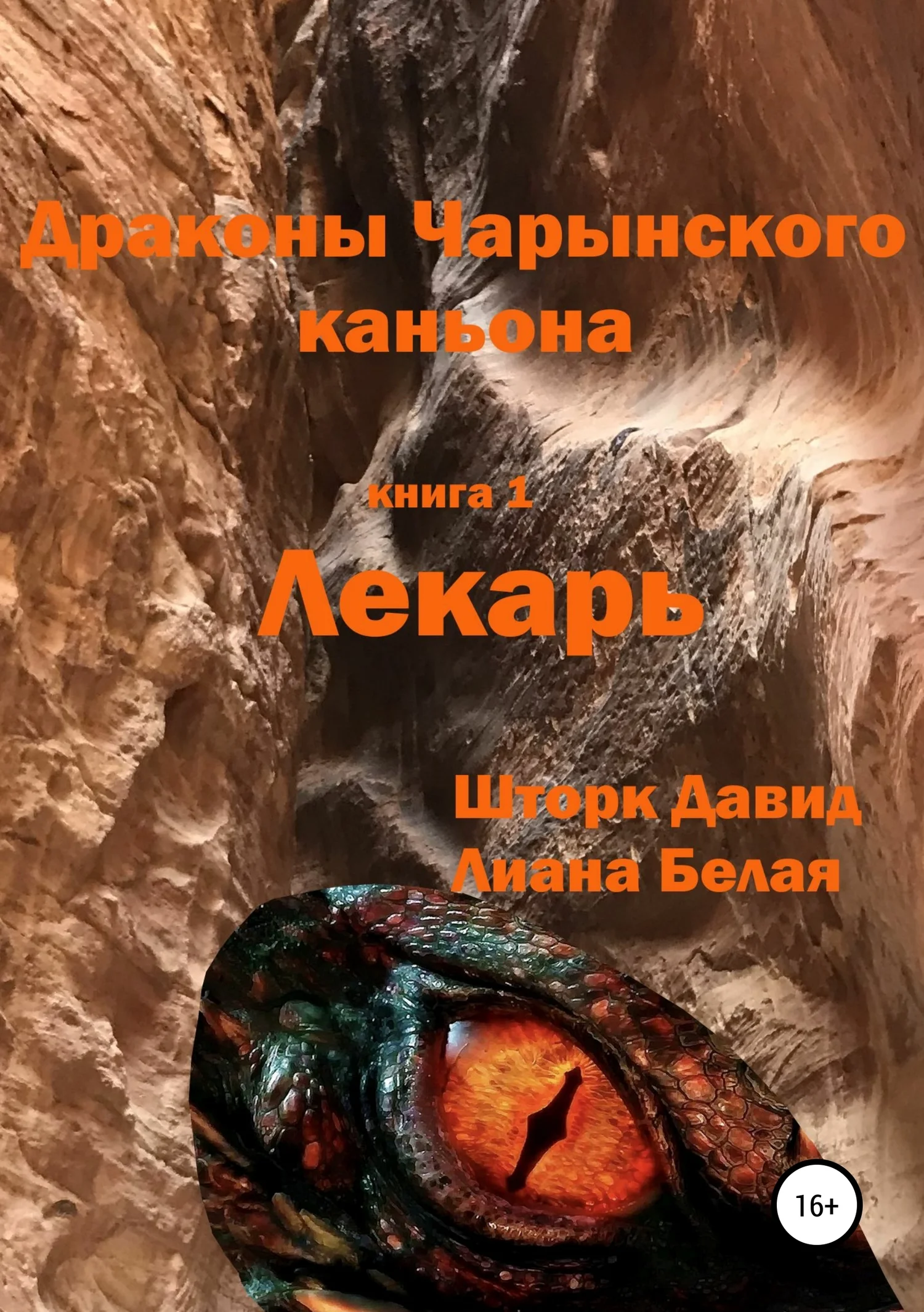 Обложка Драконы Чарынского каньона. Книга 1. Лекарь