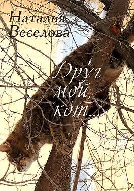 Обложка Друг мой, кот...