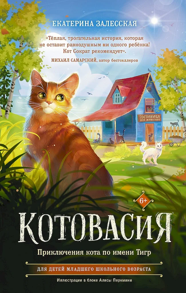 Обложка Котовасия. Приключения кота по имени Тигр