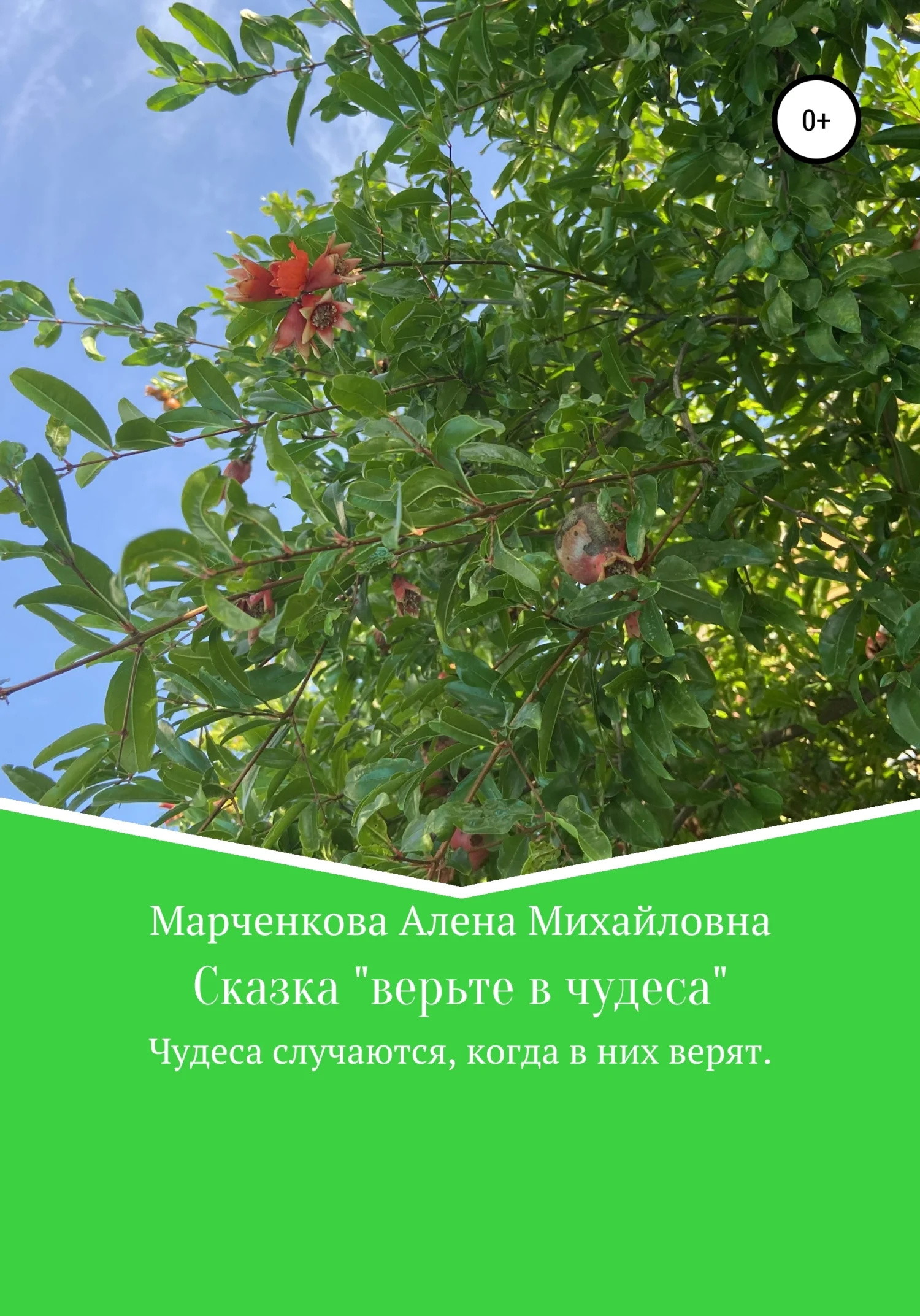 Обложка Сказка «Верьте в чудеса»