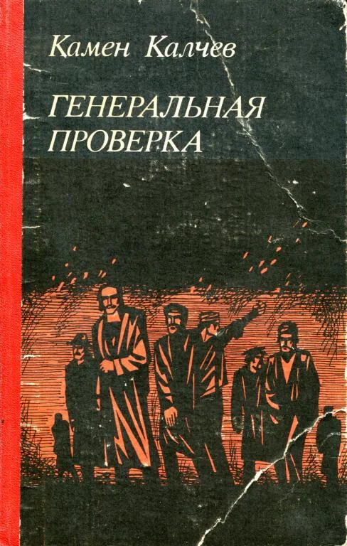 Обложка Генеральная проверка