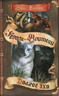 Обложка Долгое эхо