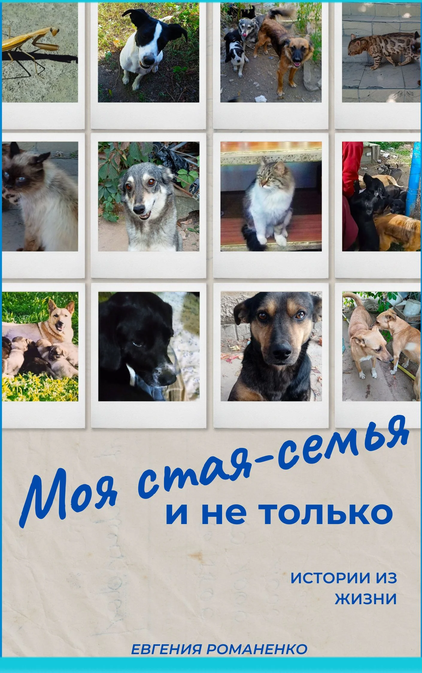 Обложка Моя стая-семья и не только