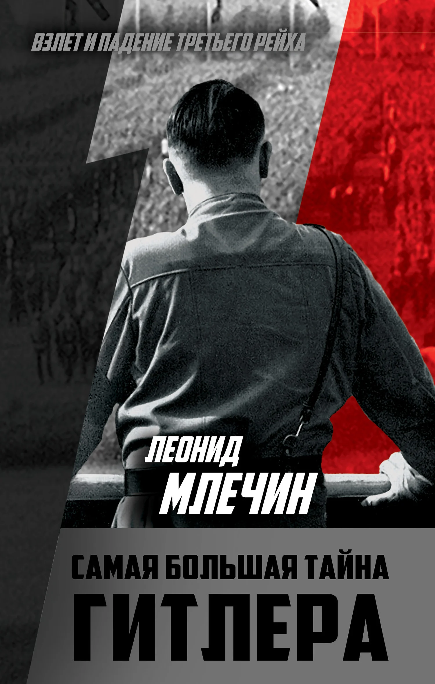 Обложка Самая большая тайна Гитлера