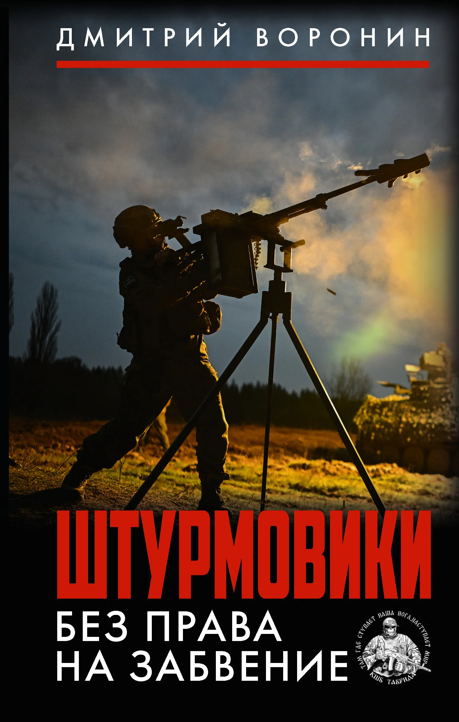 Обложка Штурмовики. Без права на забвение