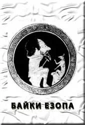 Обложка Байки