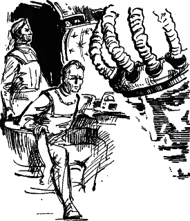 Обложка Эффект Белова