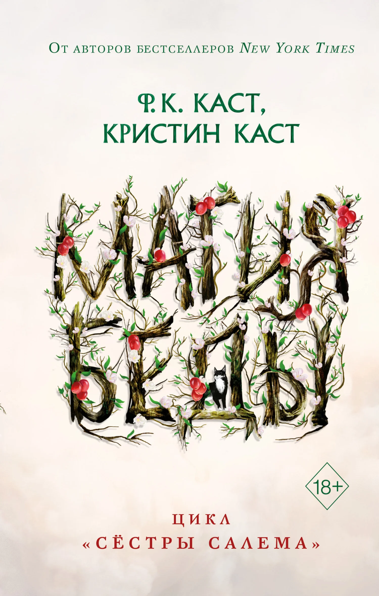 Обложка Магия беды