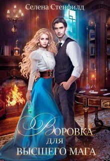 Обложка Воровка для высшего мага