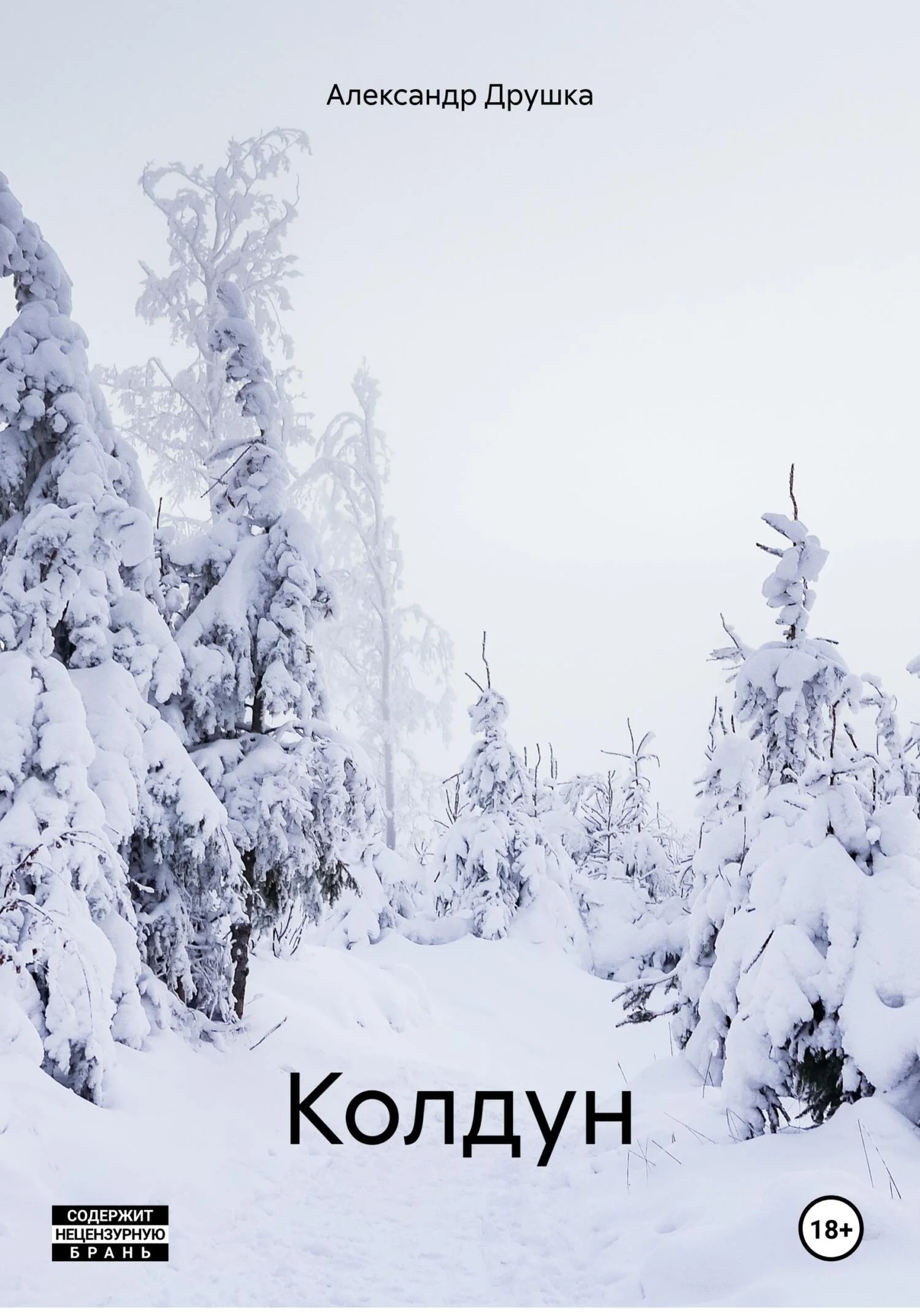 Обложка Колдун