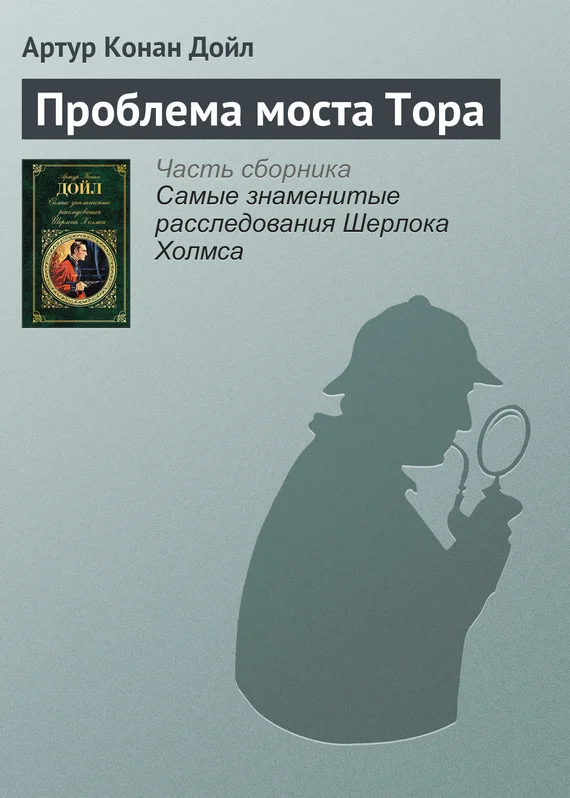 Обложка Проблема моста Тора
