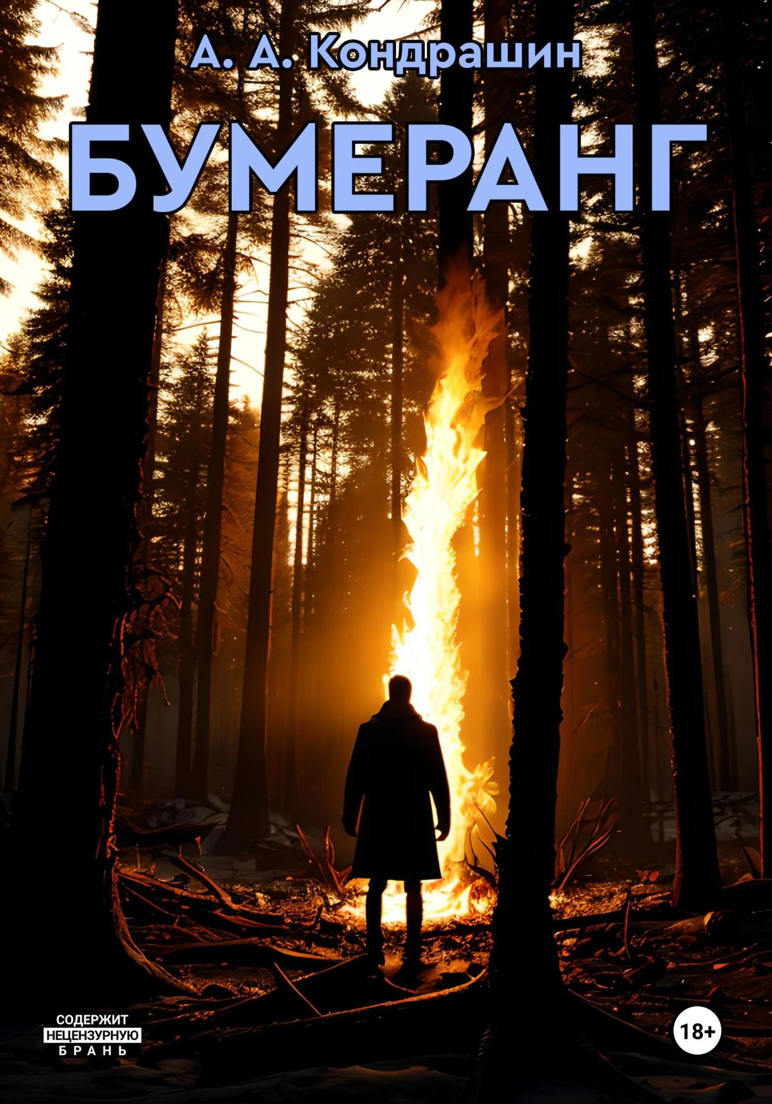 Обложка Бумеранг