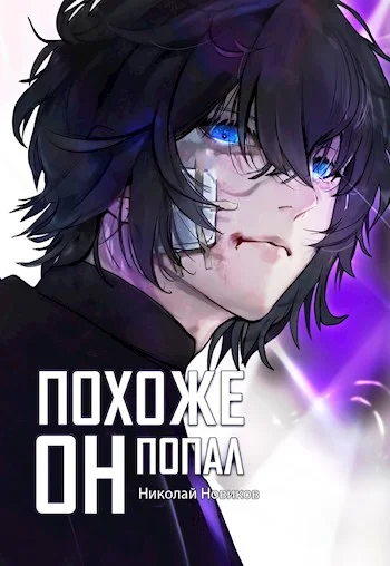 Обложка Похоже, он попал. Том 4