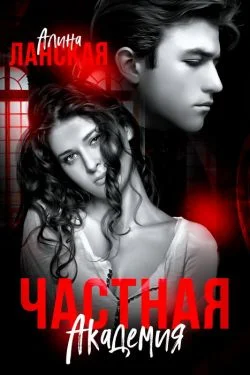 Обложка Частная Академия. Осколки