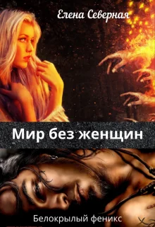 Обложка Мир без женщин.