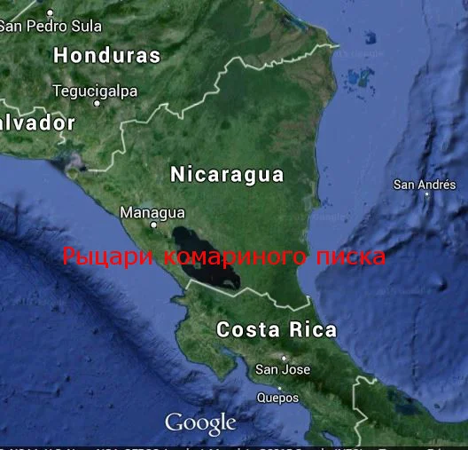 Обложка Рыцари комариного писка