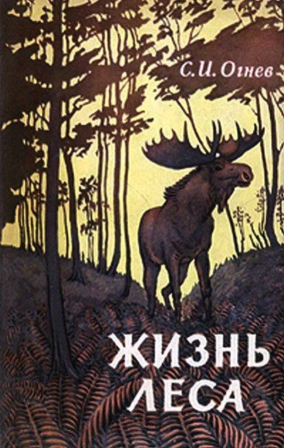 Обложка Жизнь леса