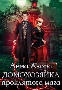 Обложка Домохозяйка проклятого мага