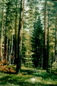 Обложка Лес - кормилец