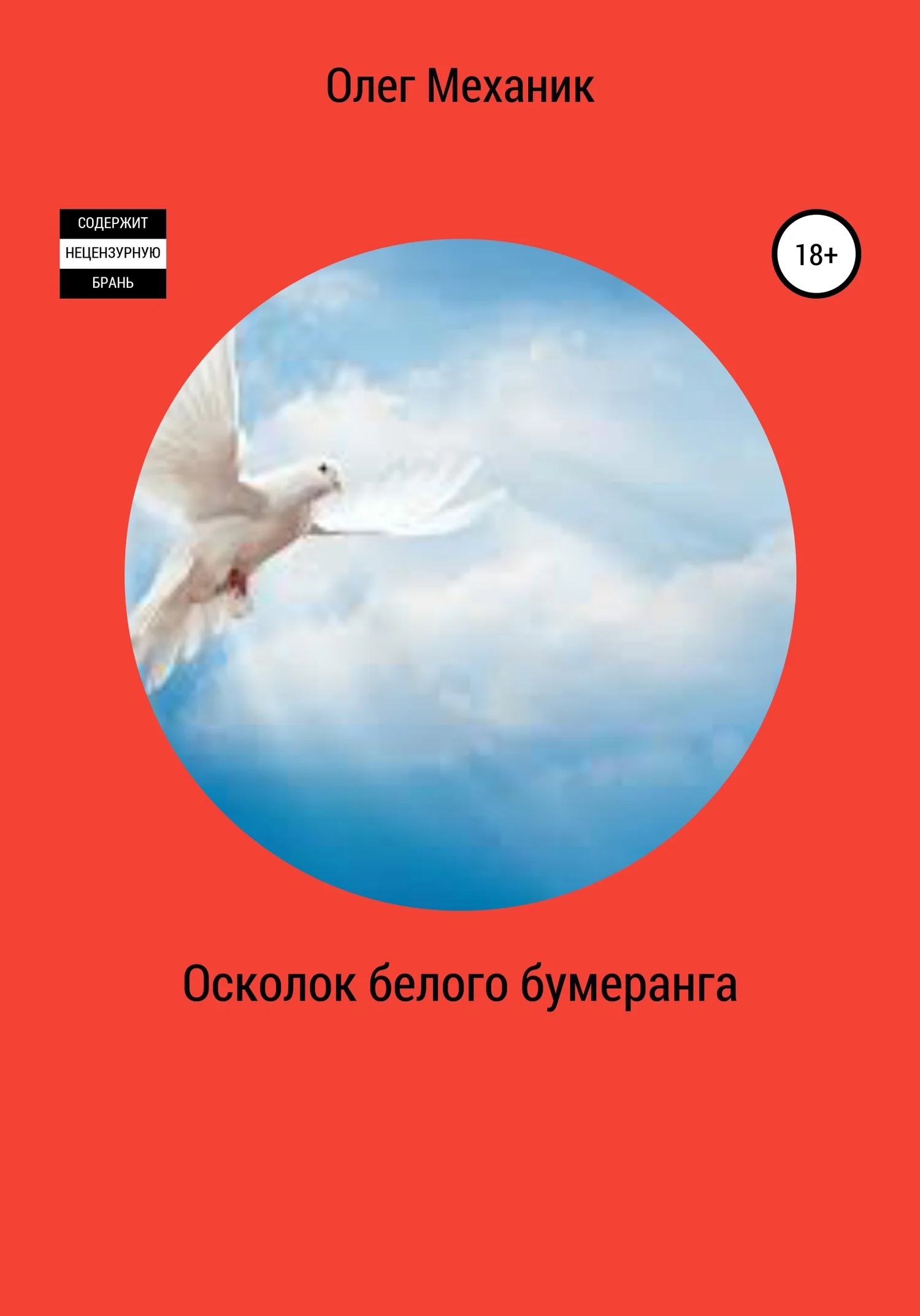 Обложка Осколок белого бумеранга