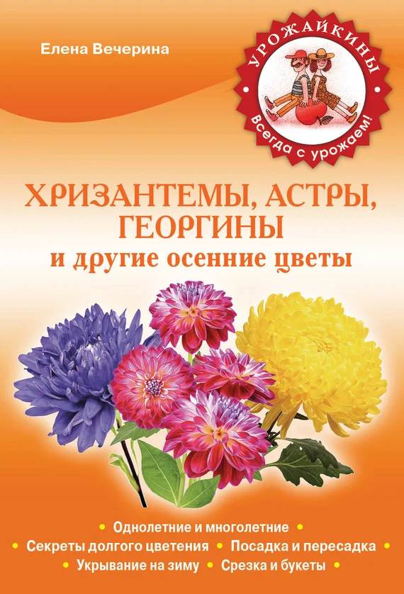 Обложка Хризантемы, астры, георгины и другие осенние цветы