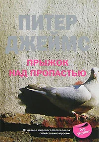 Обложка Прыжок над пропастью