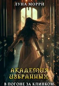 Обложка В погоне за клинком