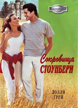 Обложка Сокровища Стоунберри