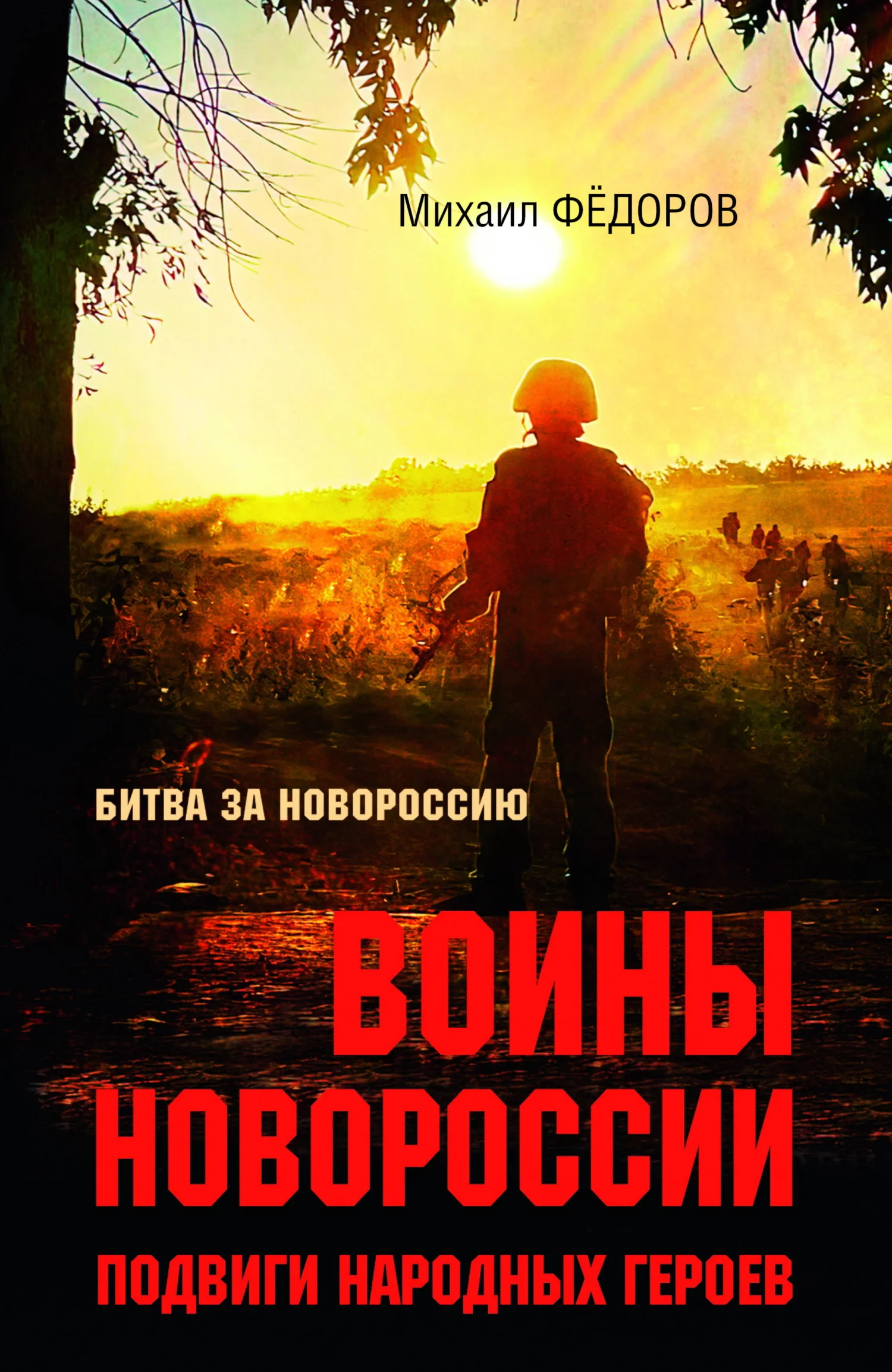 Обложка Воины Новороссии. Подвиги народных героев